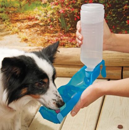 Bouteille d'eau pour chien ou chat transportable