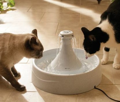 Fontaine pour animaux 360 Drinkwell Petmate 3.8 L (130 oz)